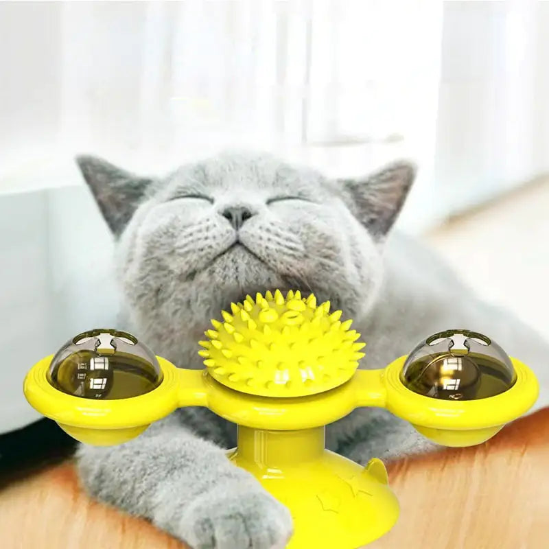 Spinner Catnip Toy