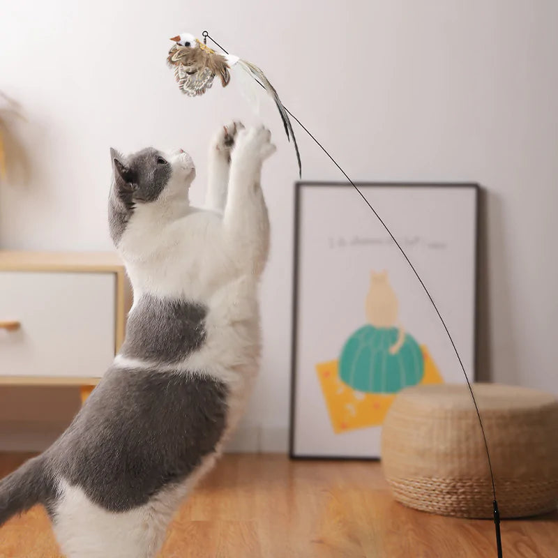 Bird Toys For Cat