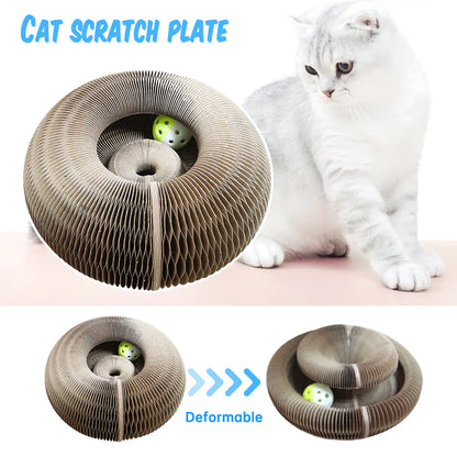 Cat Curls Scratcher Toy