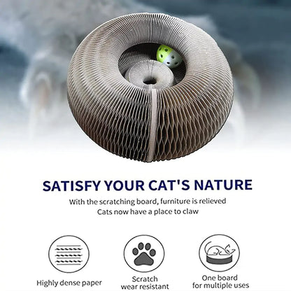 Cat Curls Scratcher Toy